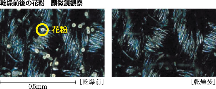 花粉中のアレル物質を軽減