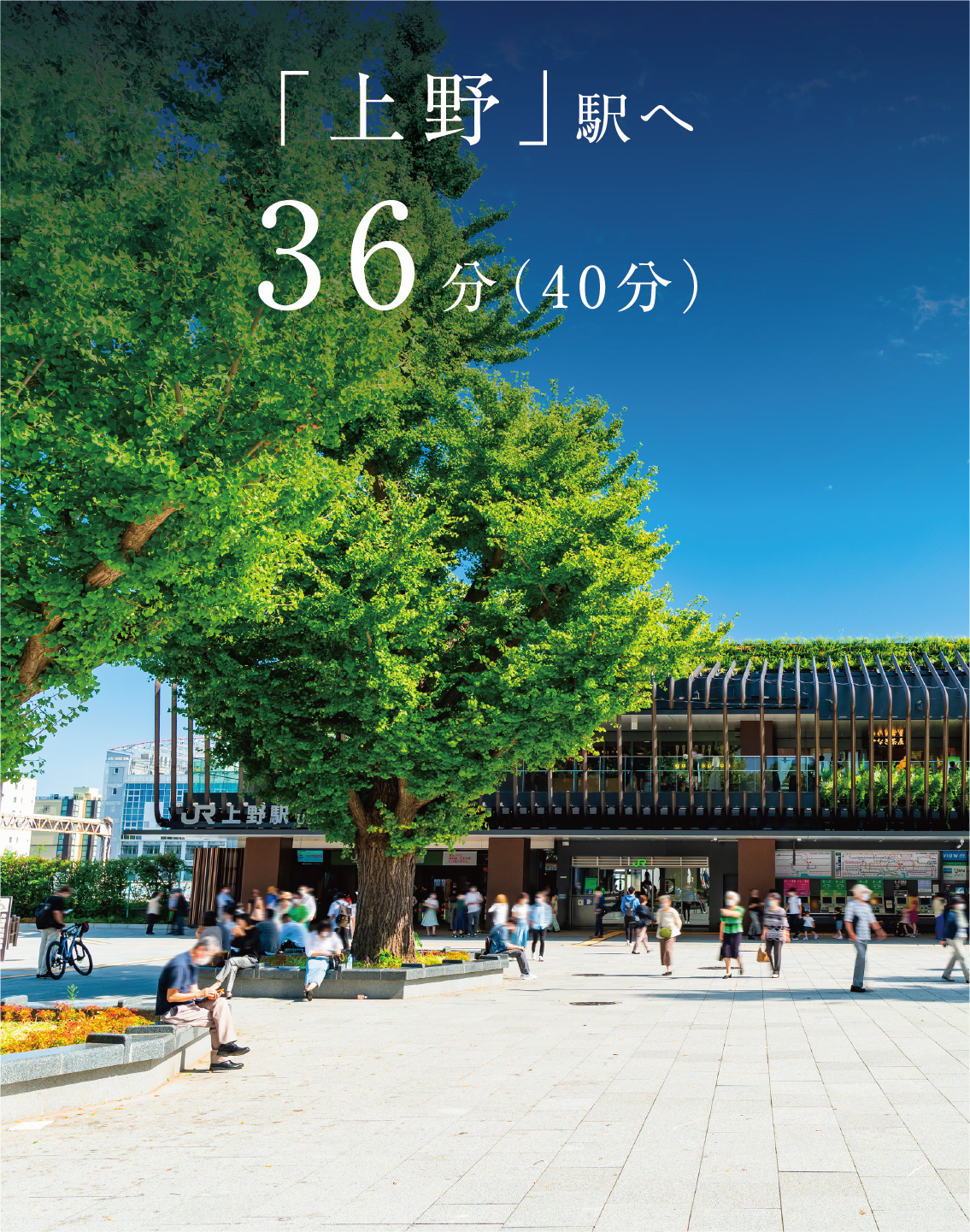 JR常磐線各駅停車利用、「柏」駅にてJR常磐線快速乗り換え