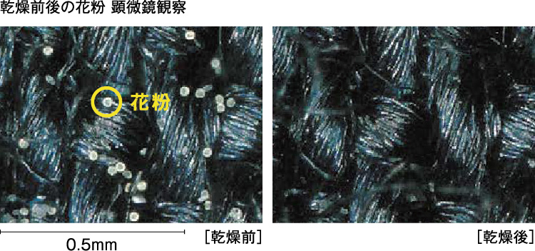 花粉中のアレル物質を軽減